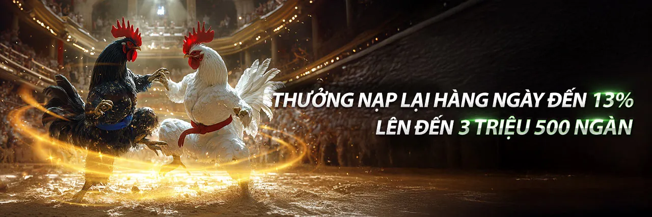 Đá gà trực tuyến TOBET88 - Đấu trường champion hấp dẫn